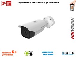 № 100500 Купить Тепловизионная цилиндрическая камера DS-2TD2117-6/V1 Тюмень